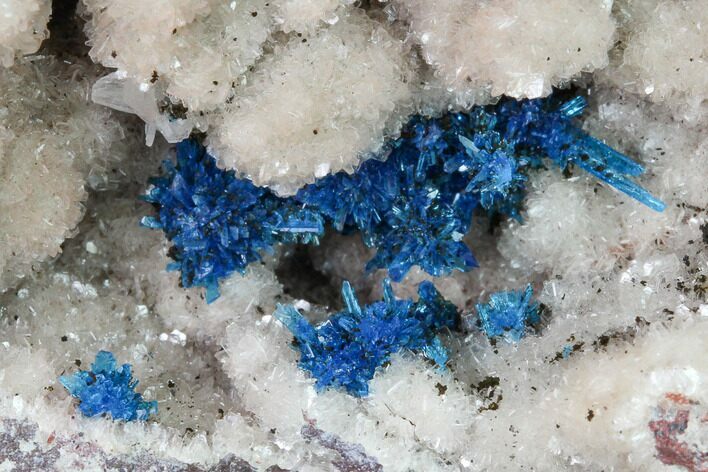 Vibrant Blue Cavansite Clusters on Stilbite - India #168240